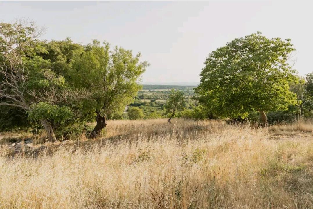 Kula Kula Atlagica Εξωτερικό φωτογραφία